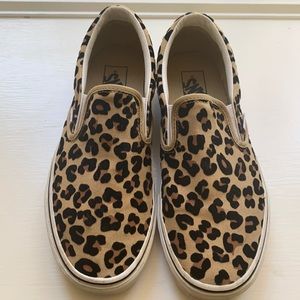 Cheetah vans